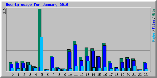 Hourly usage for January 2016